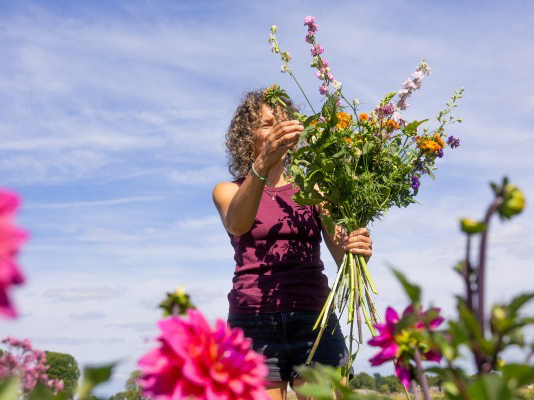 Seizoensboeket geplukt door biologische kweker van Wildeful